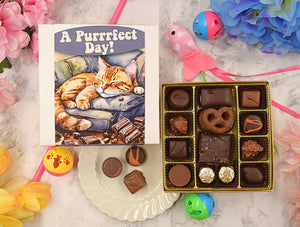 16pc Signature Gift Box - A Purr-fect Day